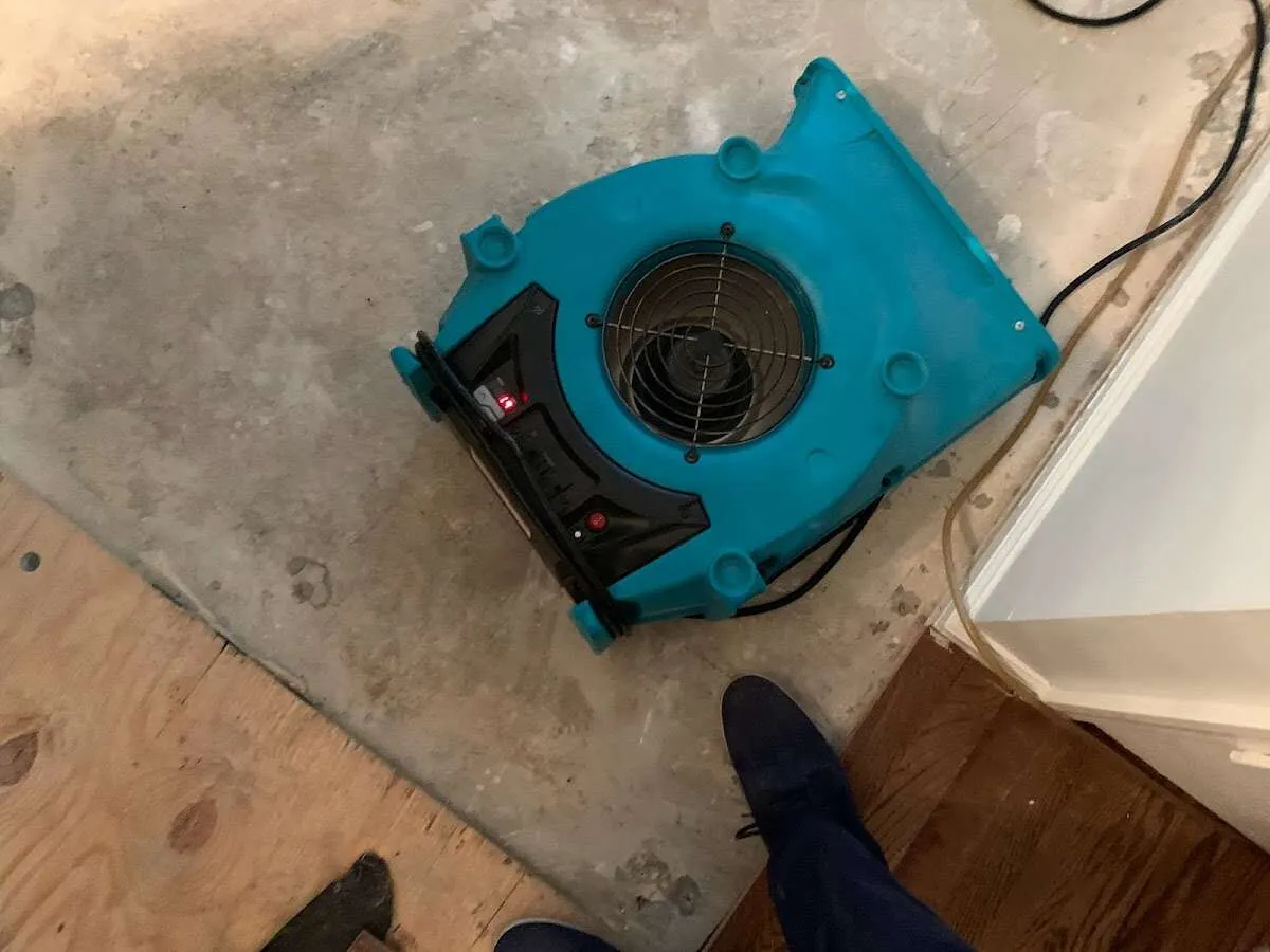 Air mover drying subfloor during Leak Detection & Repair in Covedale